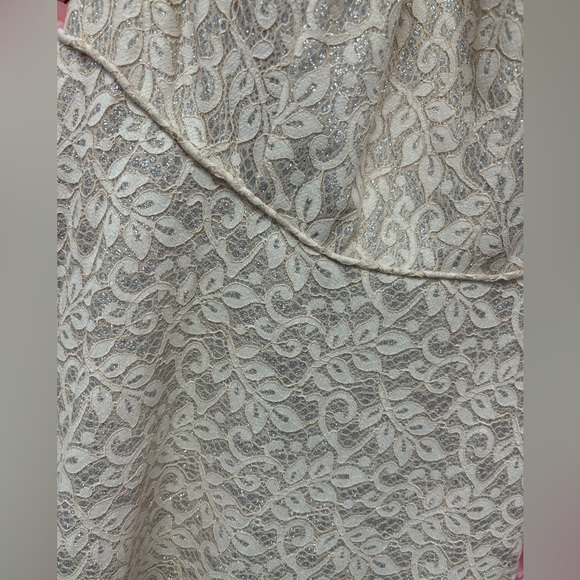 Cecilia Couture 2116 Size 10 Champagne Lace Tie Up Back Ball Gown Dress NWT - Picture 3 of 6